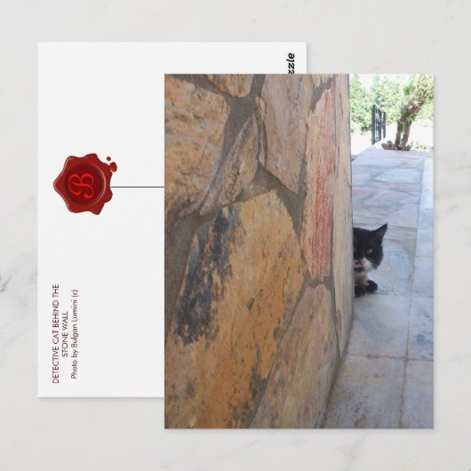 DETECTIEVE KAT ACHTER DE STEENWAL/Vaderdag Briefkaart (Voorkant / Achterkant)