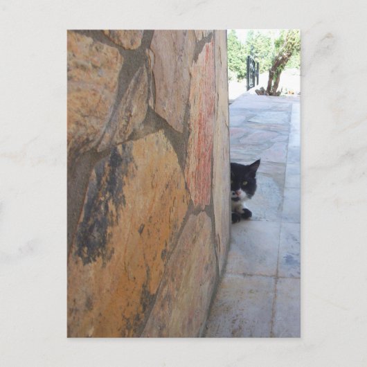 DETECTIEVE KAT ACHTER DE STEENWAL/Vaderdag Briefkaart (Voorkant)