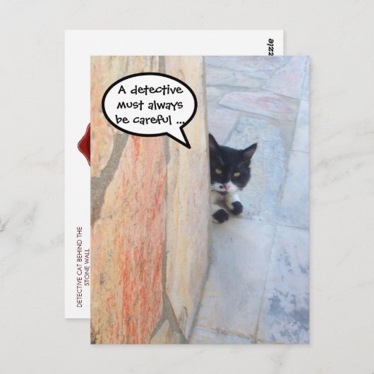 DETECTIEVE KAT ACHTER DE STEENWAL/Vaderdag Briefkaart (Voorkant / Achterkant)