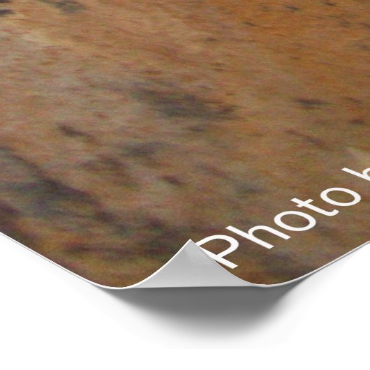 DETECTIEVE KAT ACHTER DE STEENWAL/Vaderdag Poster (Hoek)