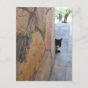 DETECTIVE CAT BEHIND THE STONE WALL / Father's Day Briefkaart
