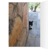 DETECTIVE KAT Achter DE STENEN MUUR (Binnen (Links))