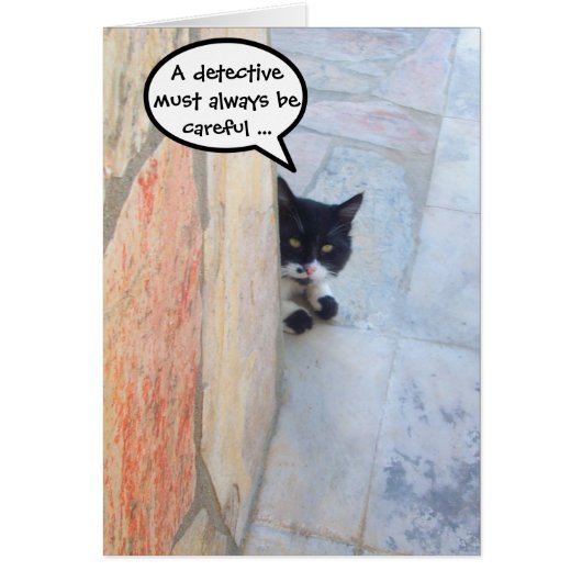 DETECTIVE KAT Achter DE STENEN MUUR (Voorkant)