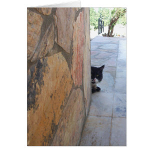 DETECTIVE KAT Achter DE STENEN MUUR