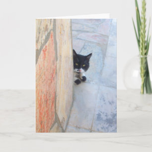DETECTIVE KAT Achter DE STENEN MUUR Kaart