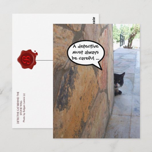 DETECTIVE KAT ACHTER DE STENEN MUUR / Vaderdag Briefkaart (Voorkant / Achterkant)