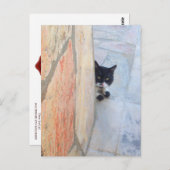 DETECTIVE KAT Achter DE STENEN MUUR / Vaderdag Briefkaart (Voorkant / Achterkant)