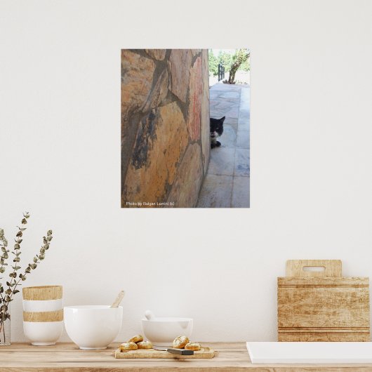 DETECTIVE KAT ACHTER DE STENEN MUUR / Vaderdag Poster (Keuken)