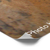 DETECTIVE KAT ACHTER DE STENEN MUUR / Vaderdag Poster (Hoek)