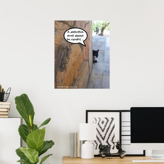 DETECTIVE KAT ACHTER DE STENEN MUUR / Vaderdag Poster (Thuiskantoor)