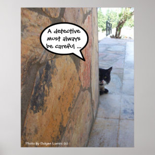 DETECTIVE KAT Achter DE STENEN MUUR / Vaderdag Poster