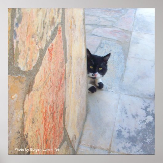 DETECTIVE KAT ACHTER DE STENEN MUUR / Vaderdag Poster (Voorkant)