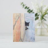 DETECTIVEKAT Achter DE STENEN MUUR / Vaderdag Briefkaart (Staand voorkant)