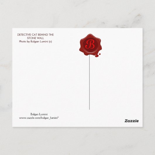 DETECTIVEKAT Achter DE STENEN MUUR / Vaderdag Briefkaart (Achterkant)