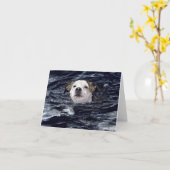 "Determination" - Swimming Dog Kaart (Gele Bloem)