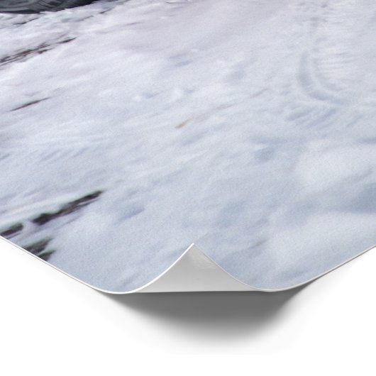 Detomaso Pantera Poster (Hoek)