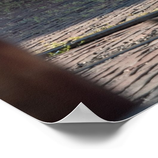 Detomaso Pantera Poster (Hoek)