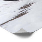 Detomaso Pantera Poster (Hoek)