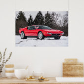 Detomaso Pantera Poster (Keuken)
