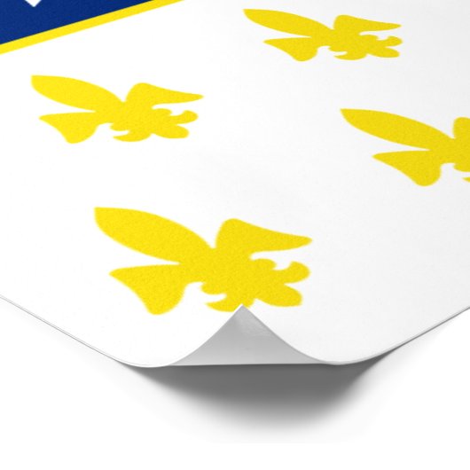 Detroit Flag Poster (Hoek)