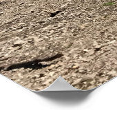 Detroit Lake, Oregon Poster (Hoek)