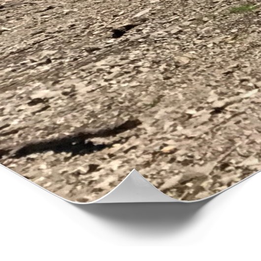 Detroit Lake, Oregon Poster (Hoek)