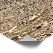 Detroit Lake, Oregon Poster (Hoek)