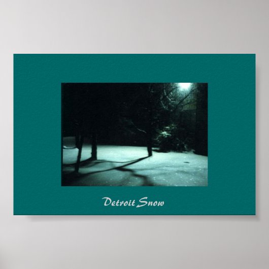 Detroit Snow Poster (Voorkant)