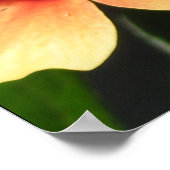 Detroit Zoo Poster (Hoek)