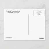 Detroit Zoo Statue Post Card Briefkaart (Achterkant)