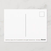 Dettifoss-waterval in Nationaal Park Vatnajökull - Briefkaart (Achterkant)