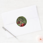 Deur Land Kersen Ronde Sticker (Envelop)