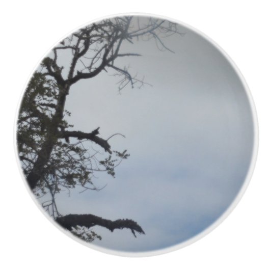 DEUR TREKT KERAMISCHE STIJL ONTWERP KERAMISCHE KNOP (Voorkant)