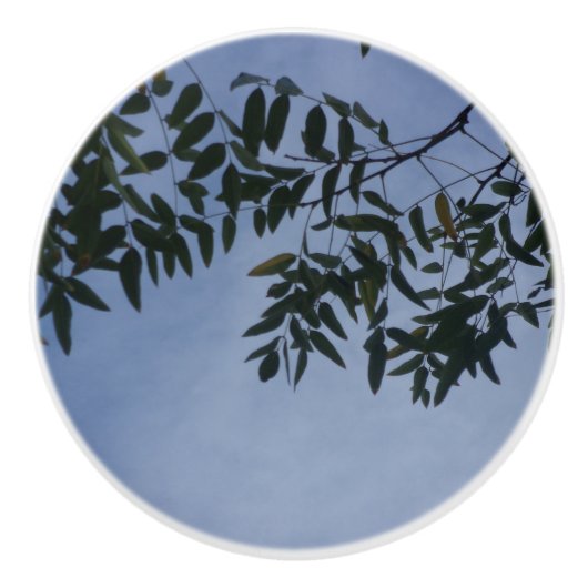 DEUR TREKT KERAMISCHE STIJL ONTWERP KNOP (Voorkant)