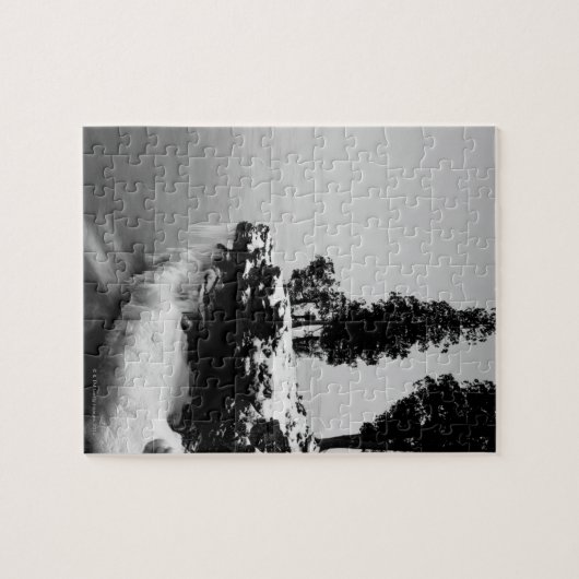 Deurdistrict, Wisconsin Legpuzzel (Horizontaal)