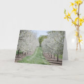 Deuren County Cherry Tree Notecard Kaart (Gele Bloem)