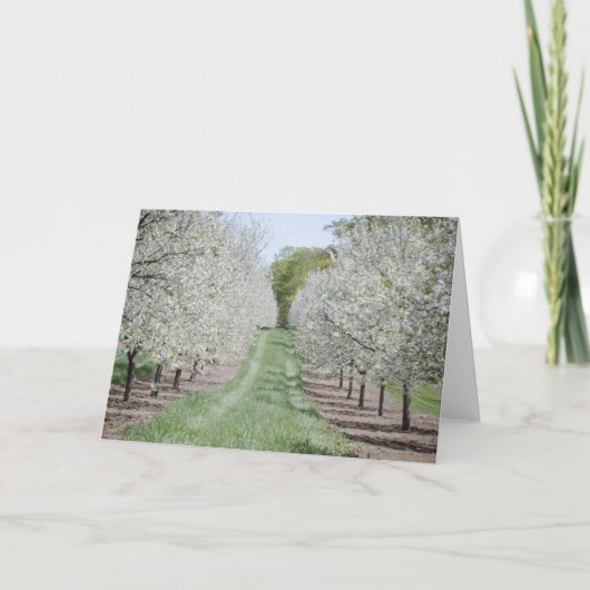 Deuren County Cherry Tree Notecard Kaart (Voorkant)