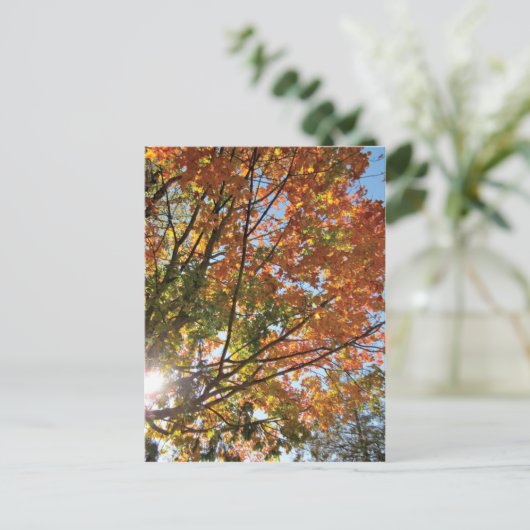 Deuren County Herfst Briefkaart (Staand voorkant)