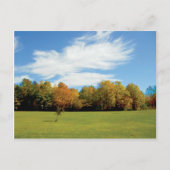 Deuren County Herfst Briefkaart (Voorkant)