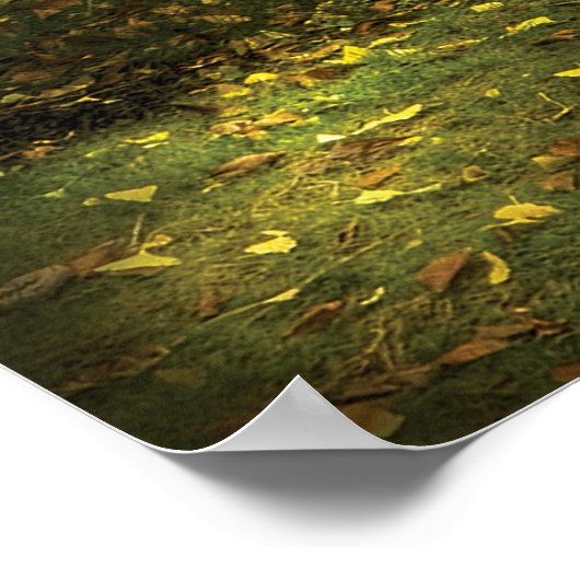 Deuren - Sterk Victoriaans Poster (Hoek)