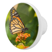 Deurgreep foto van een vlinder keramische knop (Rechts)