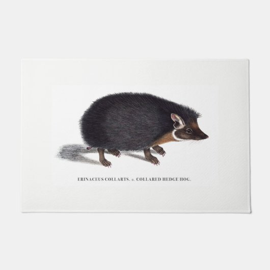 Deurklep egel deurmat (Voorkant)