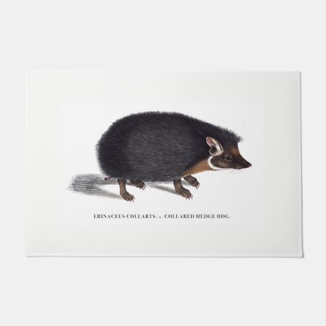 Deurklep egel deurmat (Voorkant)