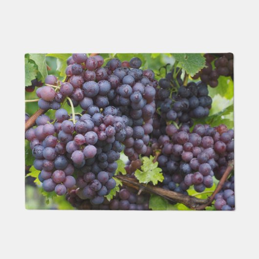 Deurklep van druiven deurmat (Voorkant)