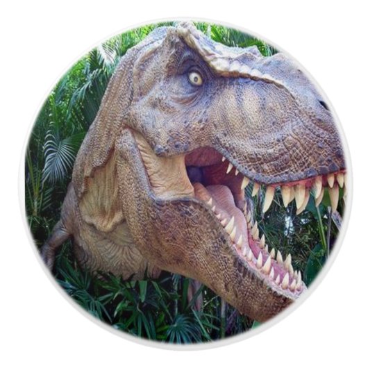 Deurknop Dinosaurus Keramische Knop (Voorkant)