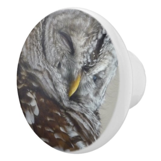 Deurknop van keramische stof keramische knop (Rechts)