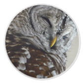 Deurknop van keramische stof knop (Voorkant)