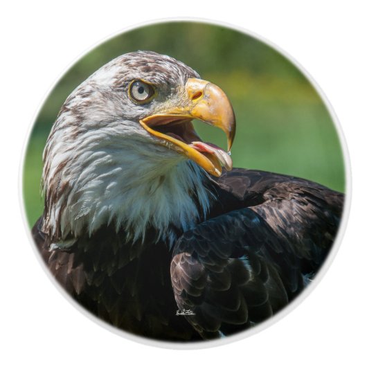 deurkruk foto van adelaar keramische knop (Voorkant)