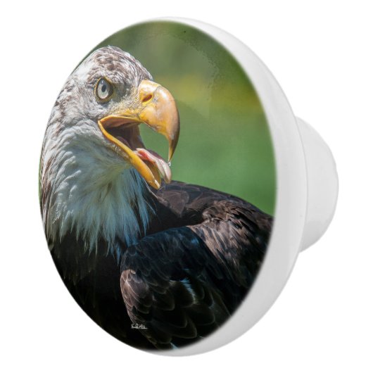 deurkruk foto van adelaar keramische knop (Rechts)