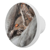 deurkruk, foto van een lieveheersbeestje keramische knop (Rechts)